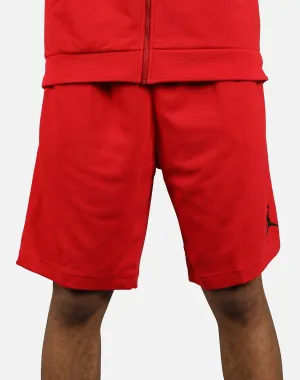 Jordan AIR JORDAN HBR FLEECE SHORTS