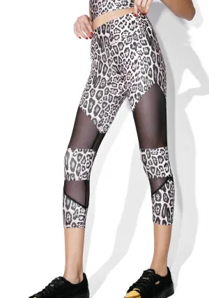 Leopard Cut Out Capri